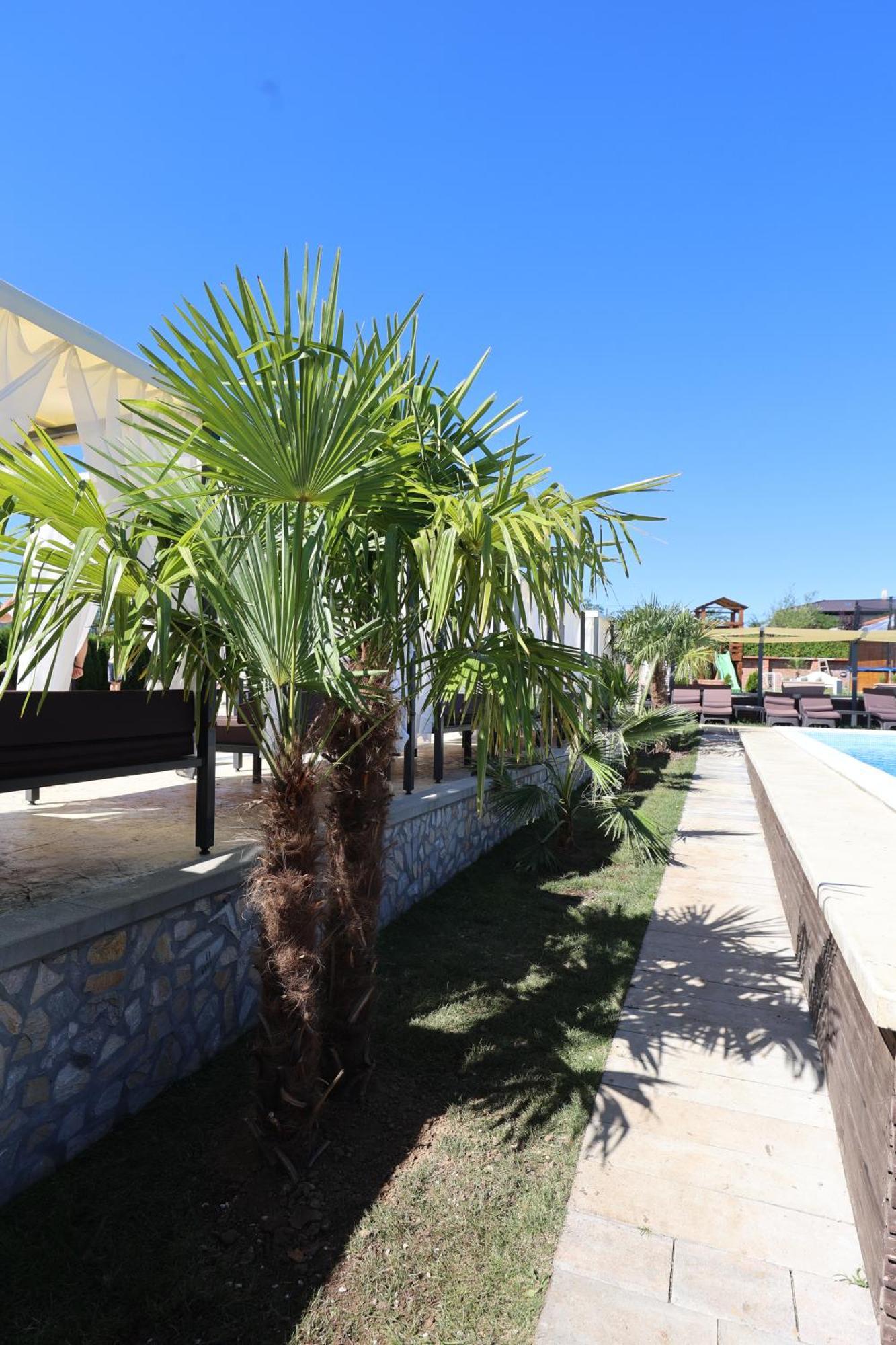 Sopot Alexander Resort المظهر الخارجي الصورة